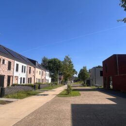 Panisdries, Beringen. Projectontwikkeling nieuwbouw.