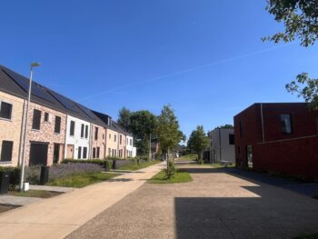 Panisdries, Beringen. Projectontwikkeling nieuwbouw.